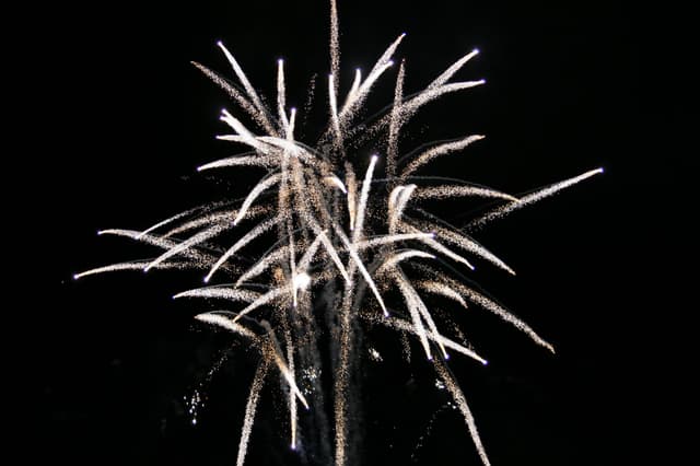 Ripley Bonfire