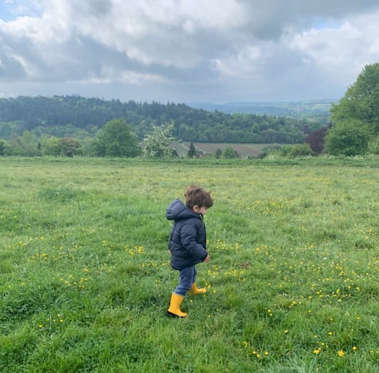 Pewley Down