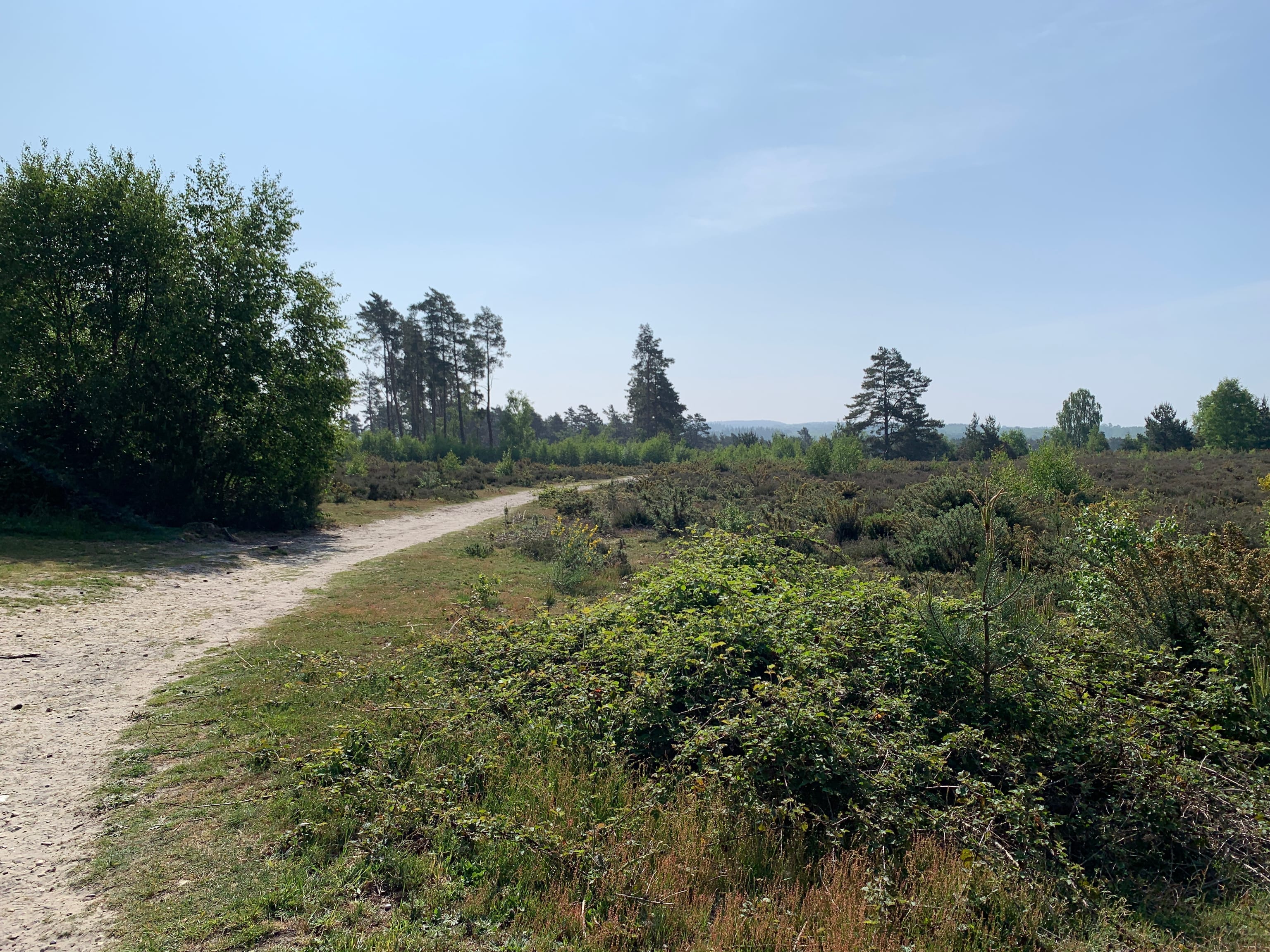 Family Friendly Walks in Guildford