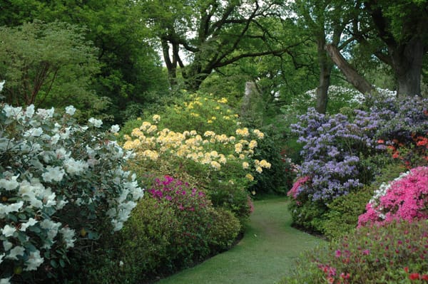 Ramster Gardens