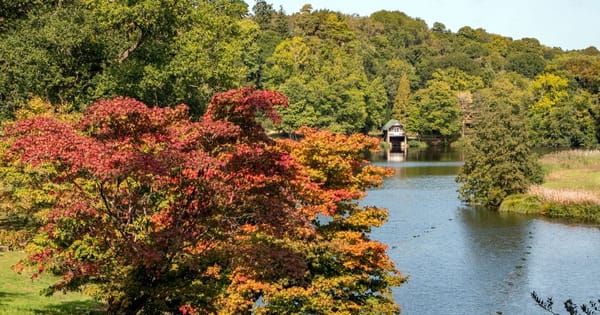 Winkworth Arboretum | National Trust