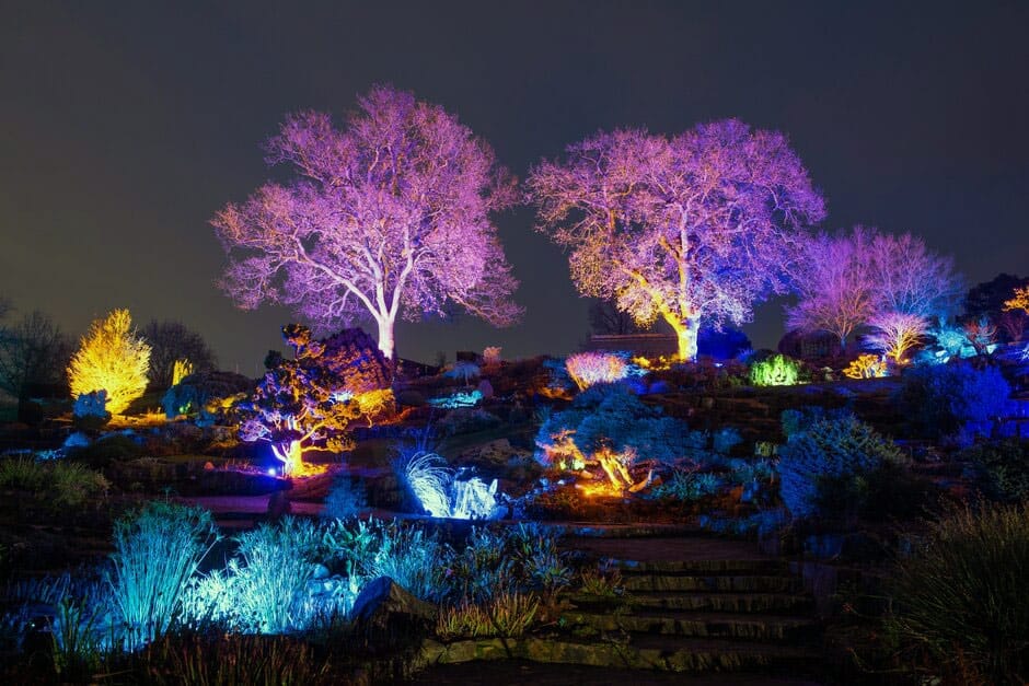Glow at Wisley - image 1