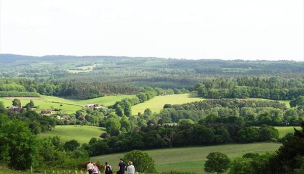 Newlands Corner