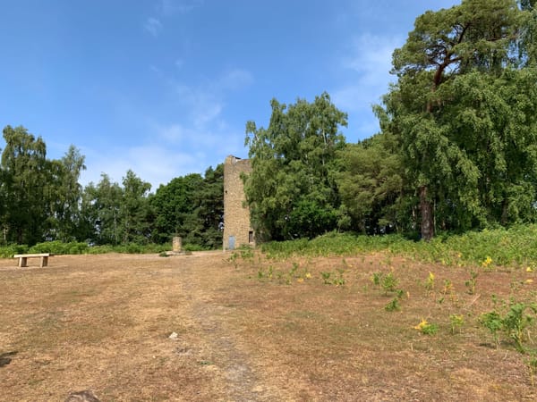 Chinthurst Hill