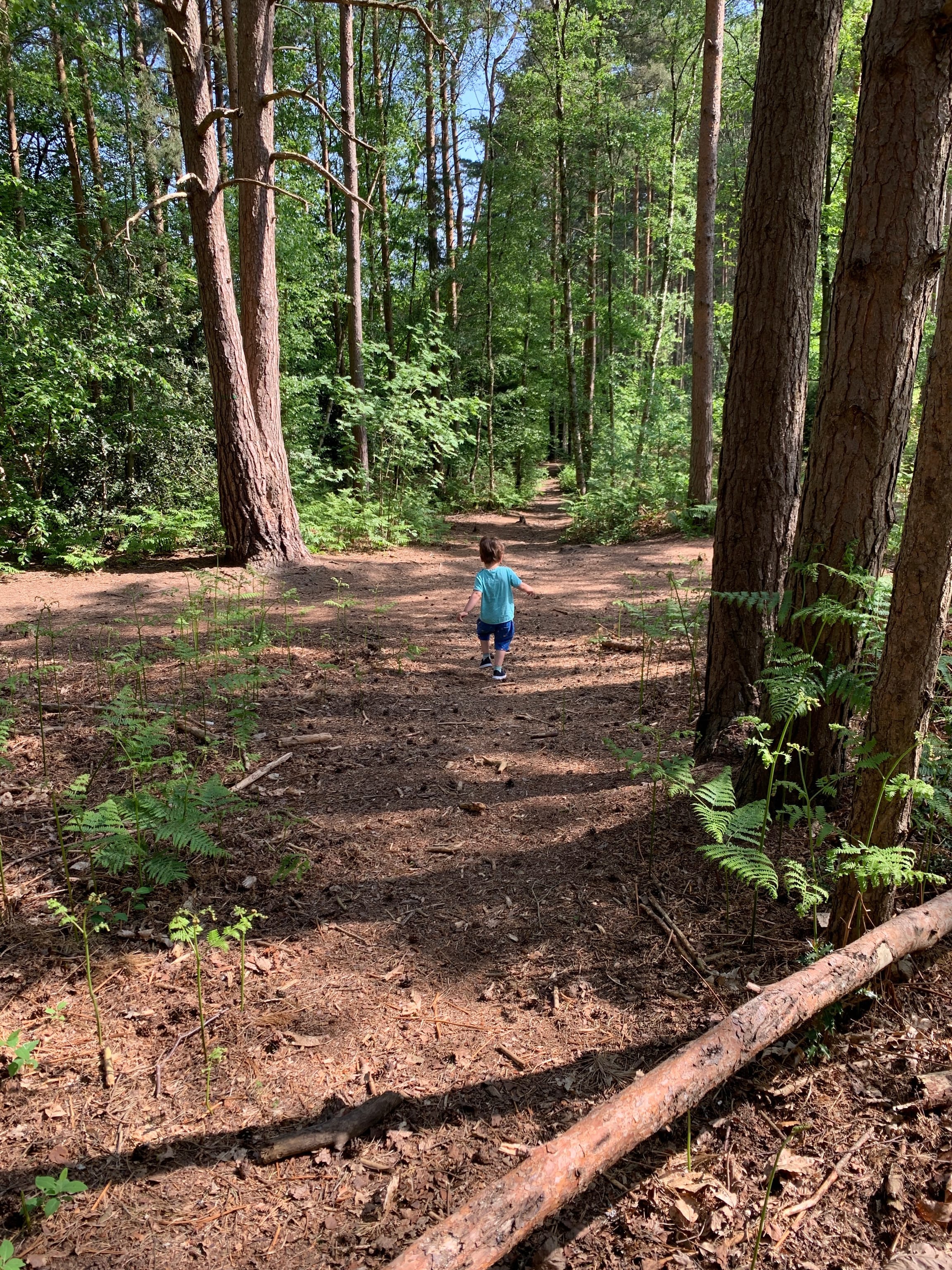 Family Friendly Walks in Guildford