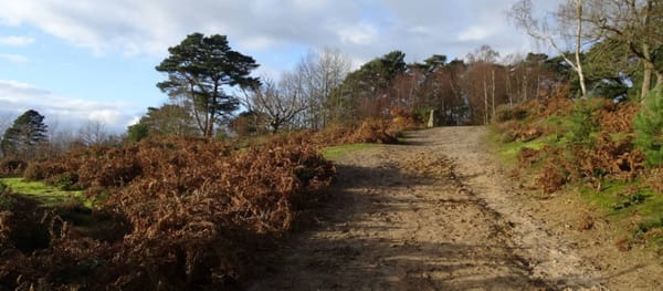Hydon's Ball | National Trust