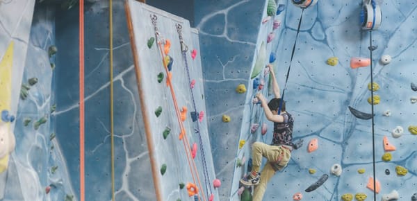 Blue Spider Climbing