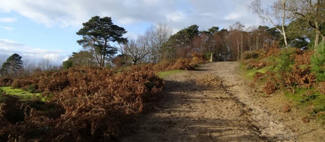 Hydon's Ball | National Trust