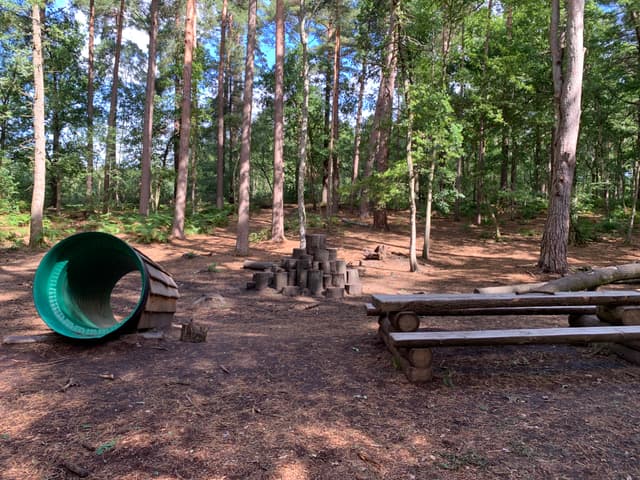 Witley and Milford Commons | National Trust