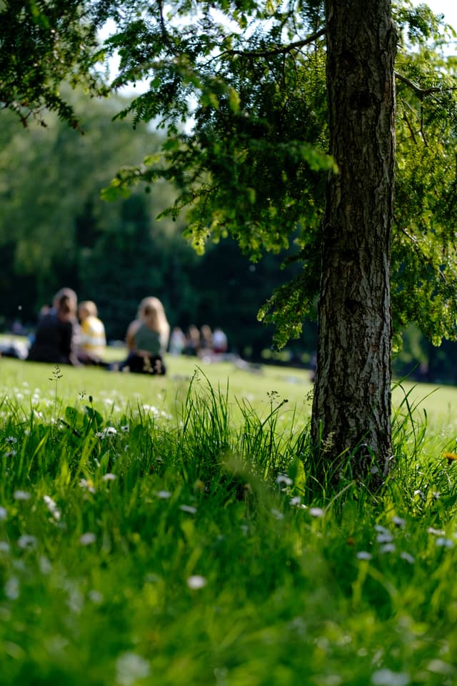 Picnic Spots in Guildford