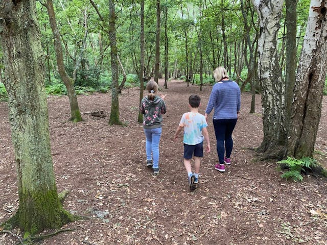 Family Friendly Walks in Guildford