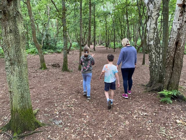 Family Friendly Walks in Guildford