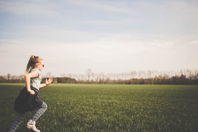 What's on this February Half Term