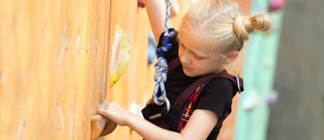 Surrey Sports Park Climbing Parties